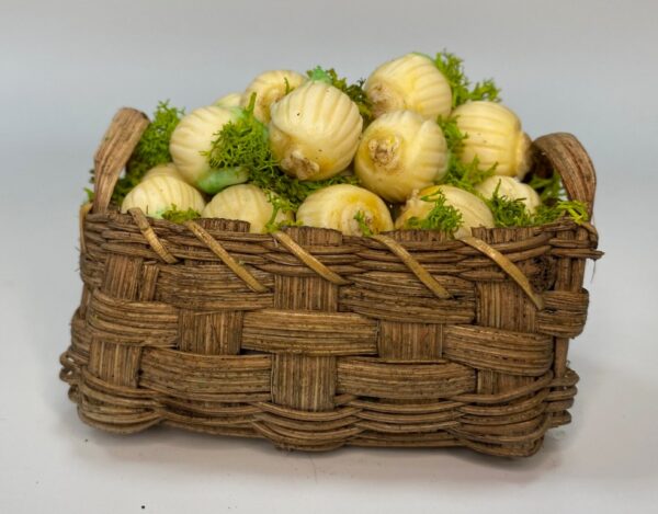 Cesta di finocchi in cera – Accessorio per presepe napoletano del '700, figure 25-30 cm