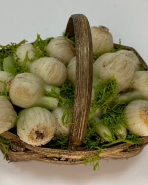 Cesta di finocchi in cera – Accessorio per presepe napoletano del '700, figure 25-30 cm