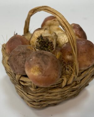 Cesta con funghi porcini in cera – Accessorio per Presepe Napoletano 700, figure 25 cm