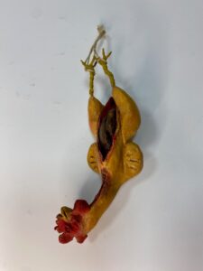 Gallina Morta in Terracotta con Occhi in Vetro – Dipinta a Mano – Presepe Napoletano '700 – Per Figure 30/33 cm - immagine 2