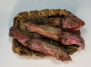 Cesta con Totani e Seppie in Cera – Miniatura per Presepe Napoletano 25-30 cm - immagine 3