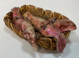 Cesta con Totani e Seppie in Cera – Miniatura per Presepe Napoletano 25-30 cm - immagine 4