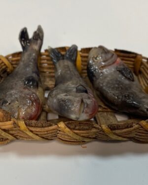 Cesta con Pesci in Cera – Accessorio per Pastori 25 cm – Presepe Napoletano '700