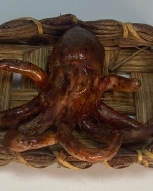 Cesta con Polipo in Cera – 25 cm – Scena Pescatori – Presepe Napoletano '700